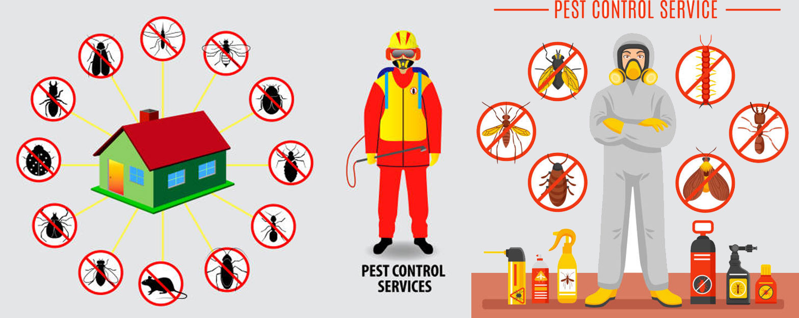 Yellow Jacket Control