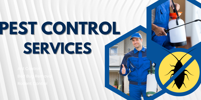 Kitchen pest control