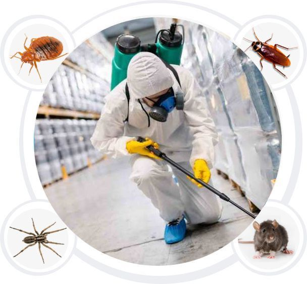 Ant Control